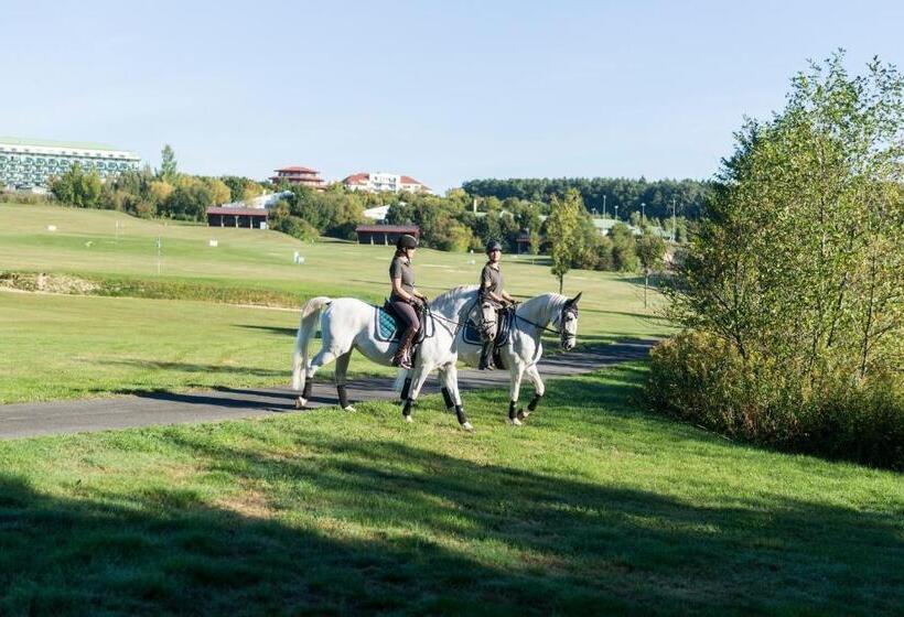 Отель Reiters Finest Family