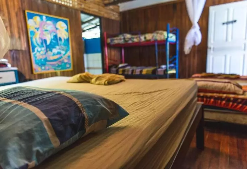 Luminosa Montezuma Hostel