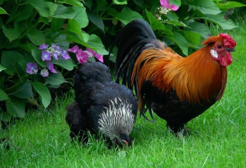 ベッドアンドブレックファースト De Turfstaeker