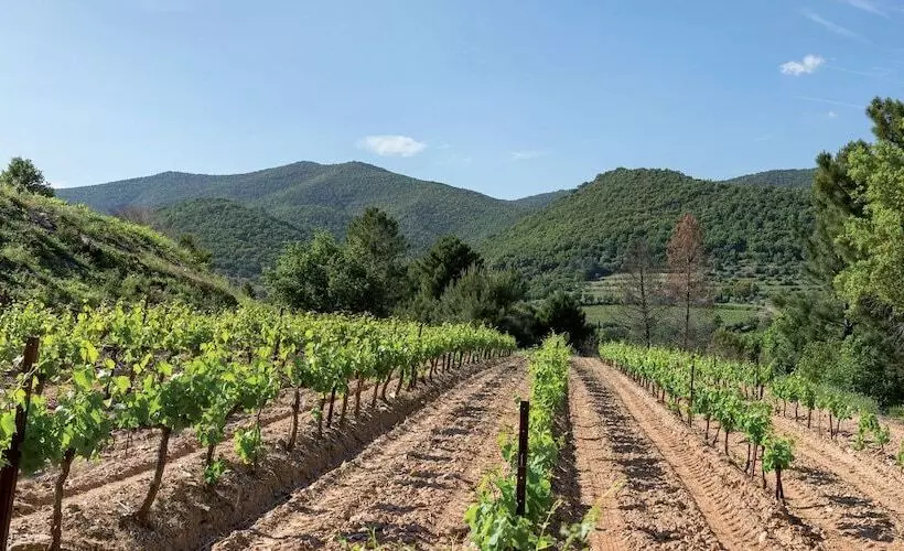 Hotelli Restaurant Des Maures