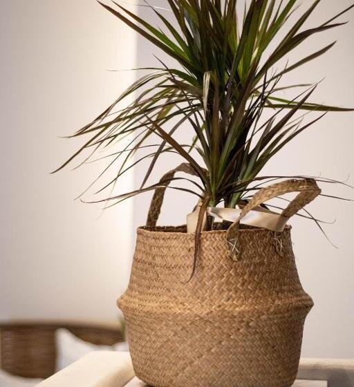 בית מלון כפרי Villa Sophia