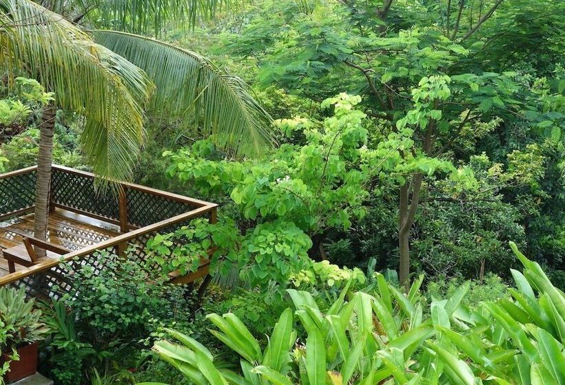 هتل Lf Jungle Retreat