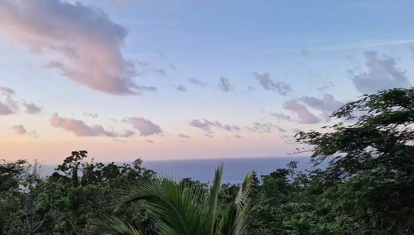 هتل Lf Jungle Retreat