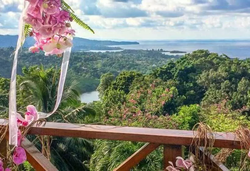 هتل Lf Jungle Retreat