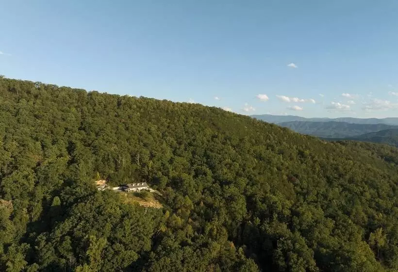 The Roxy 2 Homes In 1!