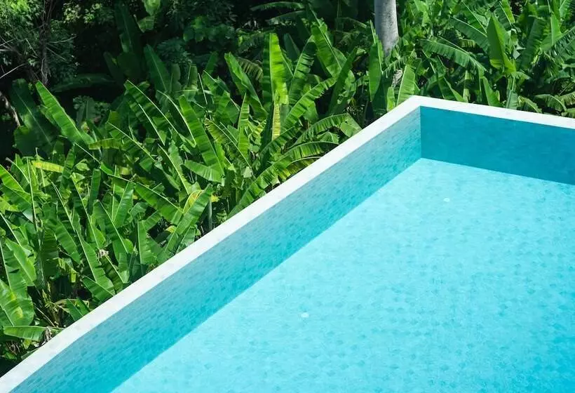 Hotelli Bluepoint Seaview Patong 818