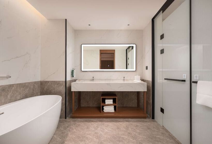 酒店 Hilton Garden Inn Tianjin Railway Station