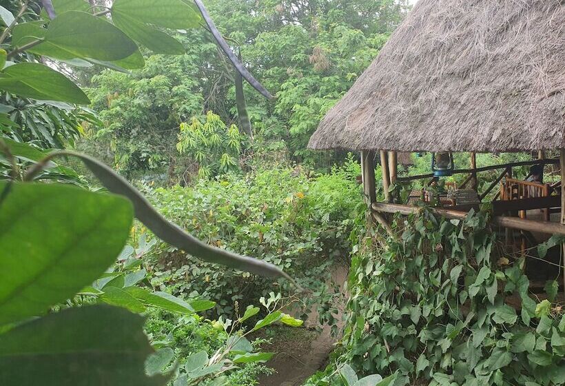 هتل Pumba Safari Cottages
