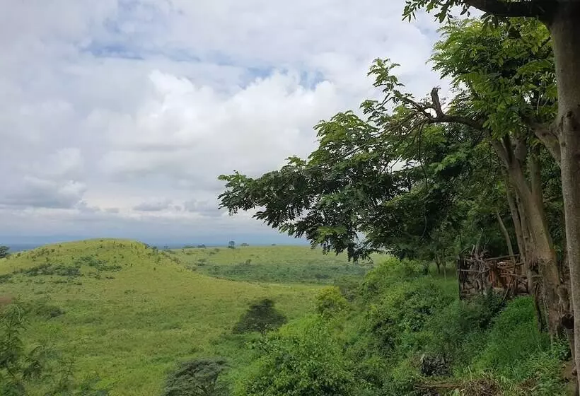 هتل Pumba Safari Cottages