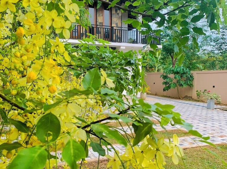 Szálloda The Kenoli's City Hotek