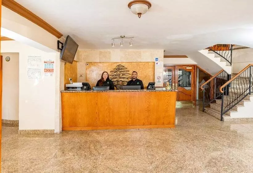 Los Cedros Hotel Inn Ciudad Juárez