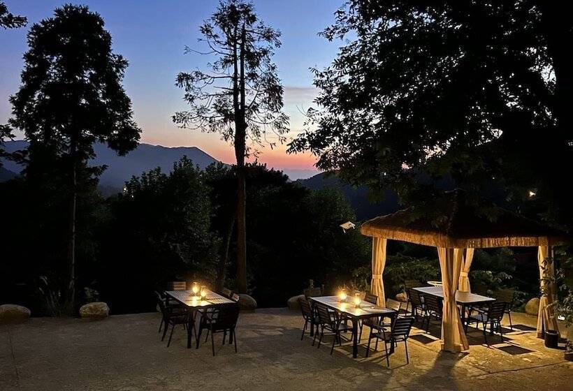 膳宿费 Wesley Rosegarden Lushan