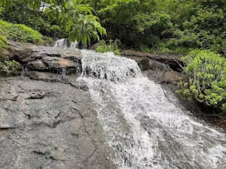 Hotelli Jumbo Paradise