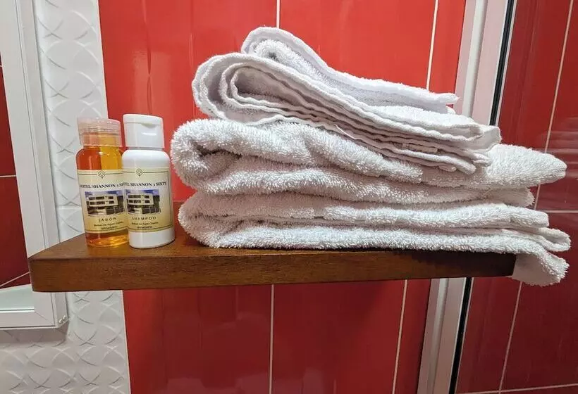 ホテル Shannon 360