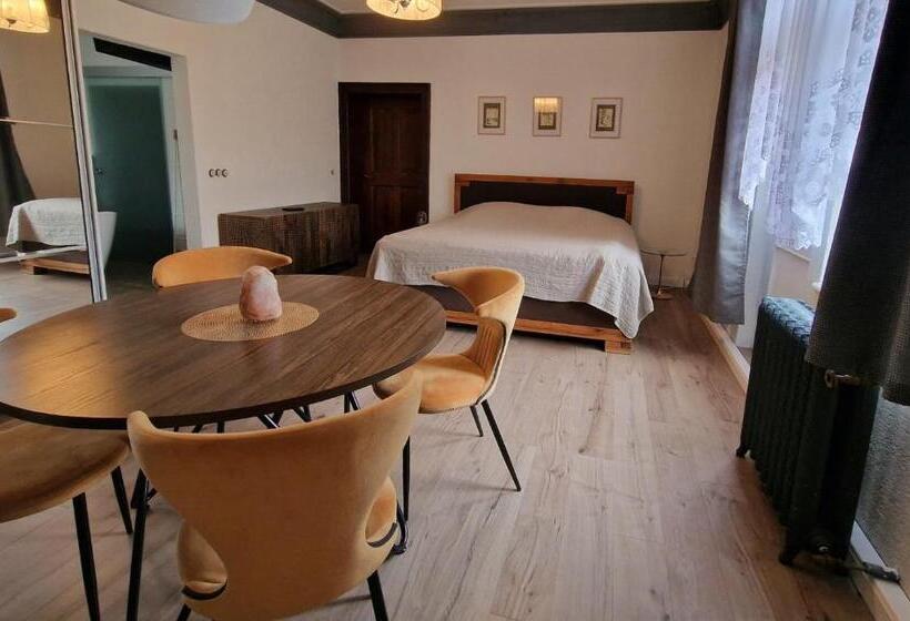 ホテル Villa Hänsch Suite 2