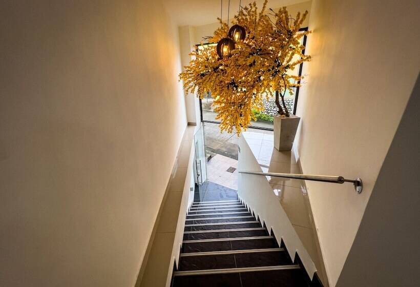 酒店 Boutique Veracruz