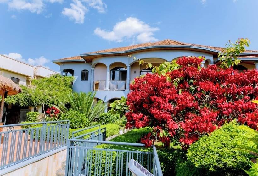 هتل The Little Hill Boutique