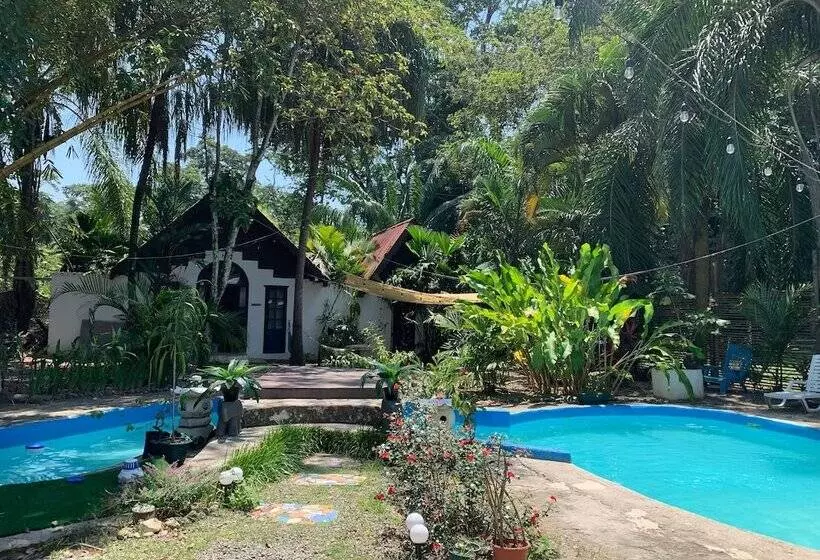 Hotelli Mandacaru Puerto Viejo