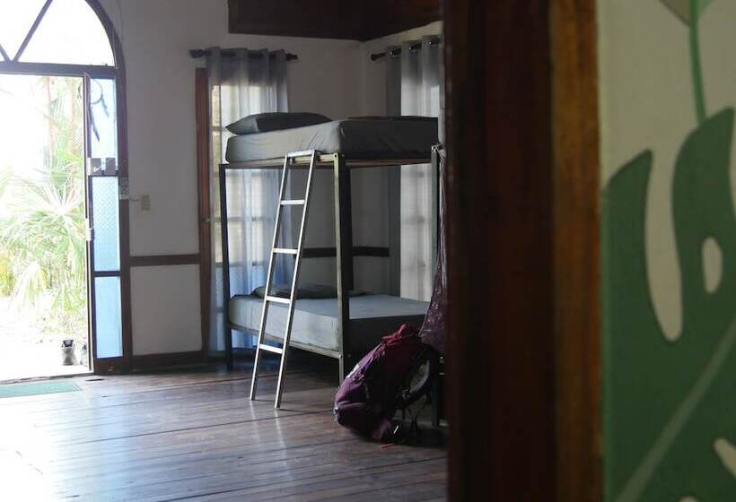 هتل Mandacaru Puerto Viejo