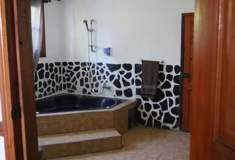 Hotelli Mandacaru Puerto Viejo