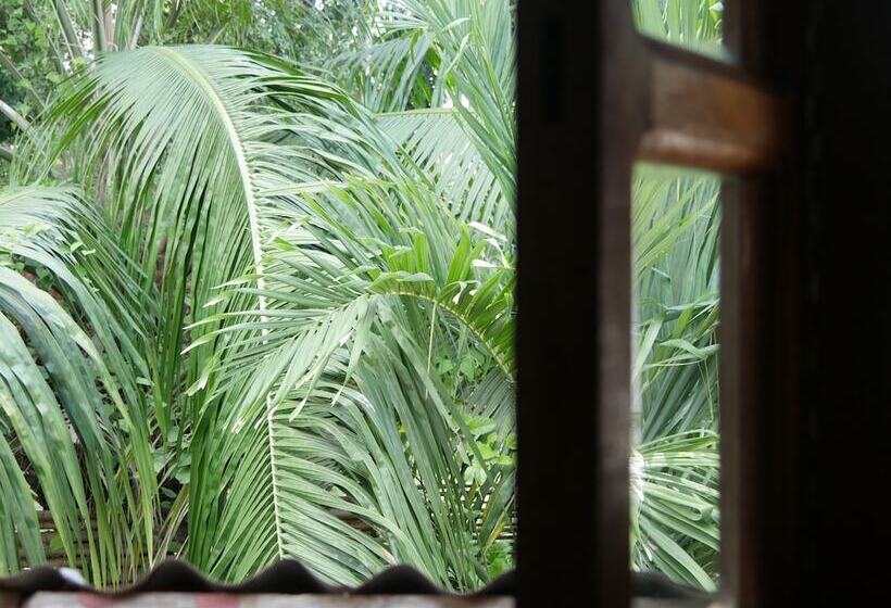 هتل Mandacaru Puerto Viejo