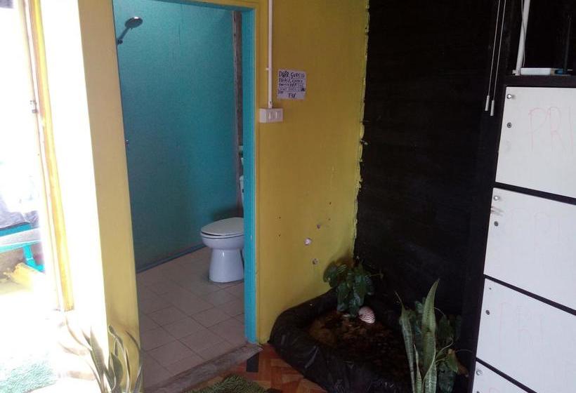 Общежитие Shanti Backpacker&gallery