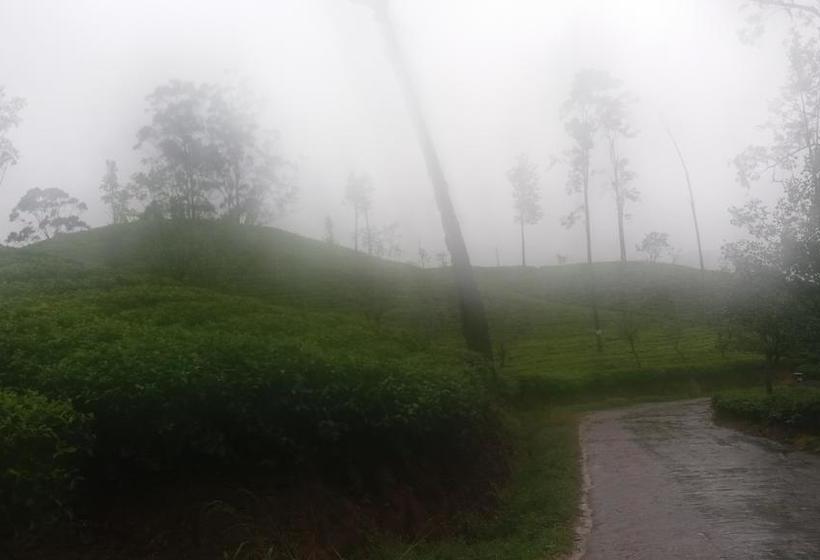 Bed and Breakfast Freedom Lodge Ella