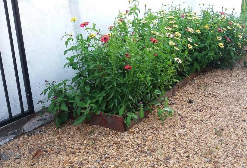 Bed and Breakfast Freedom Lodge Ella