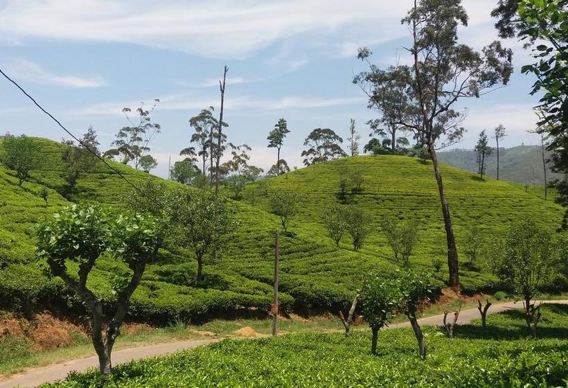 Bed and Breakfast Freedom Lodge Ella