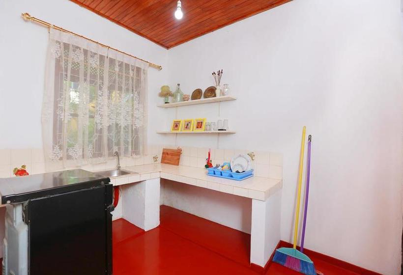 Bed and Breakfast The One