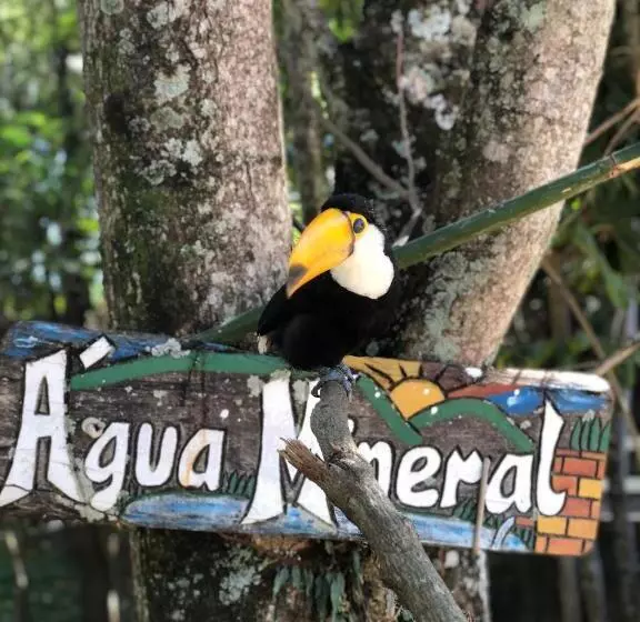 ホテル Fazenda Morro Pelado