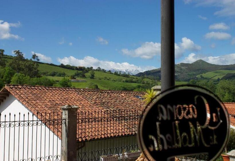 호텔 La Casona De Molleda
