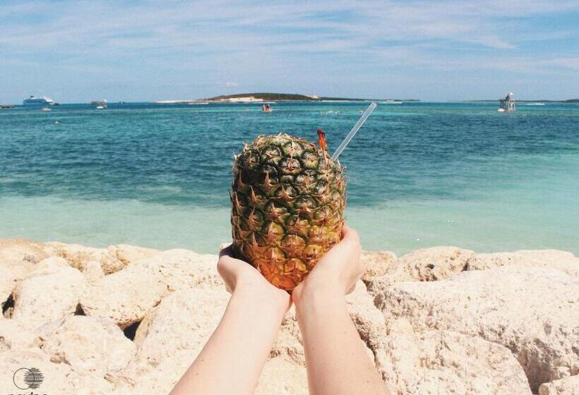 호텔 Nayino Resort