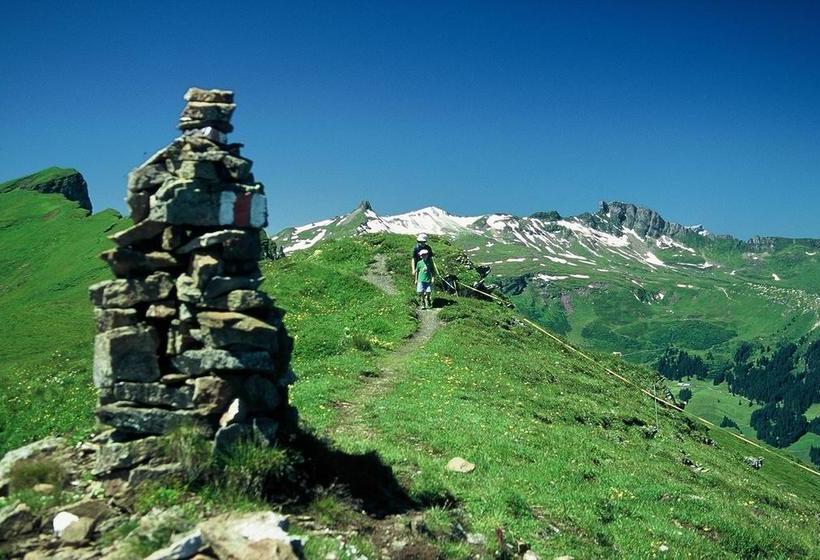 Berghotel Schonhalden