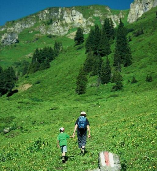 Berghotel Schonhalden