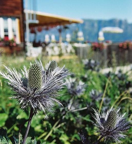 Berghotel Schonhalden