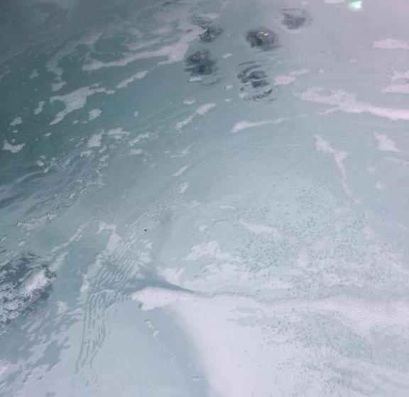 Wellness Hotel Löwe