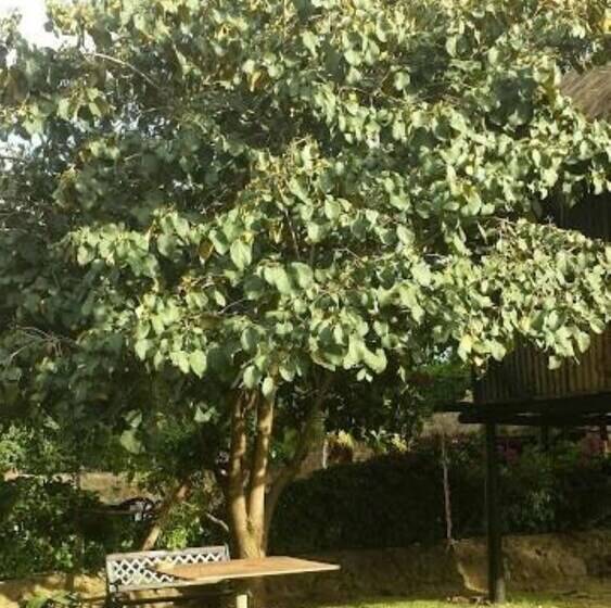 هتل Guest House Jane Naivasha