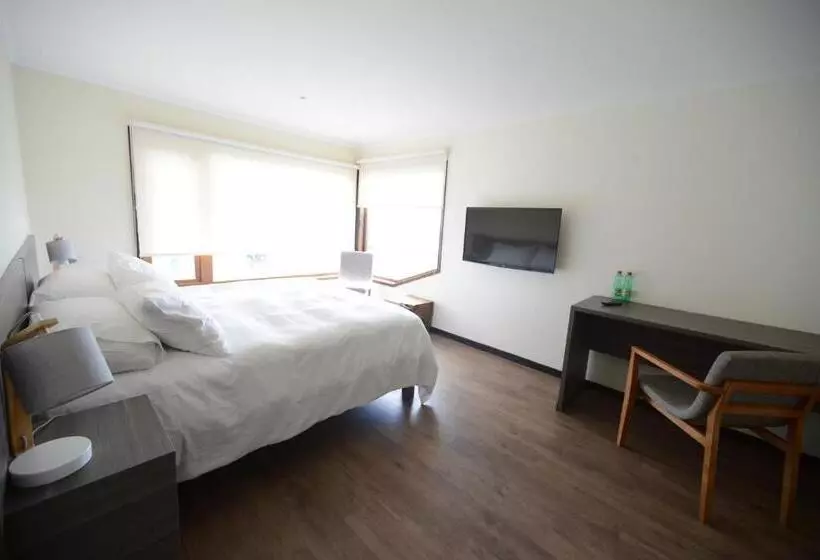 ホテル Patagonia B&b