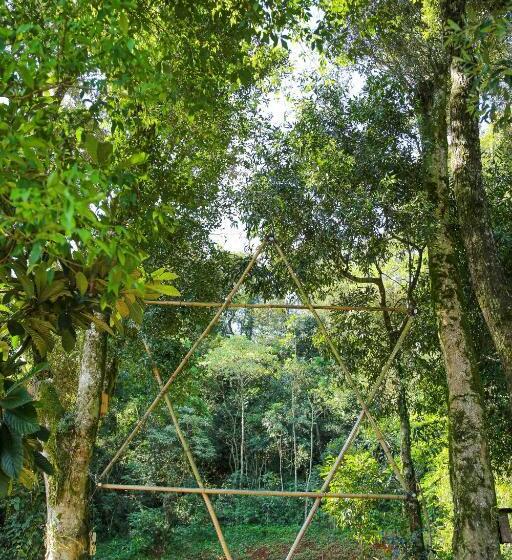 הוסטל Pousada Flora Bamboo