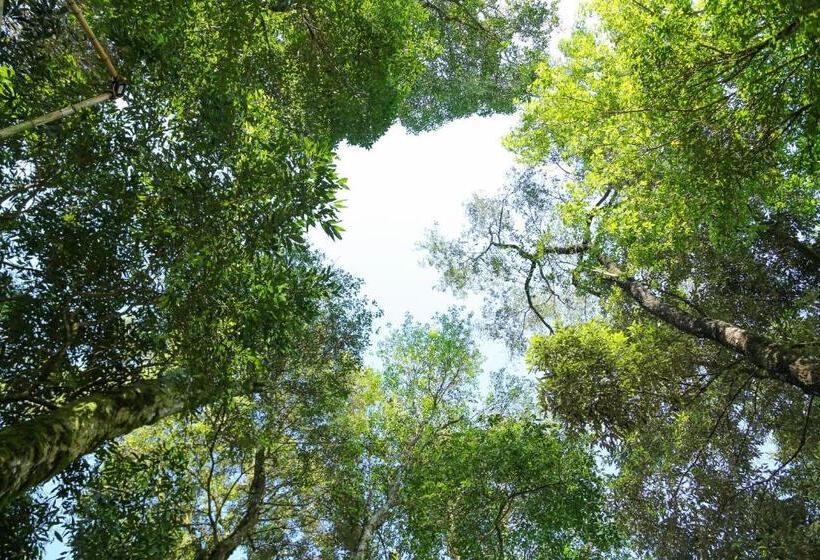 הוסטל Pousada Flora Bamboo