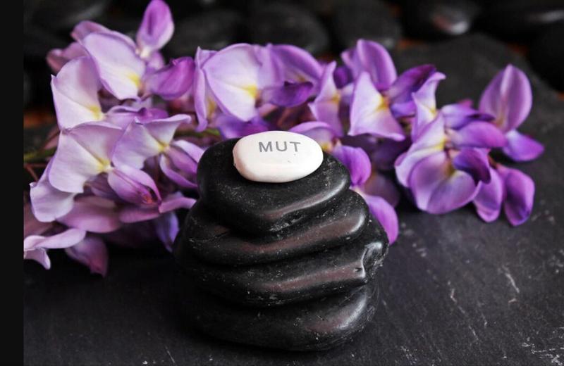 ホテル Villa Le Calvane