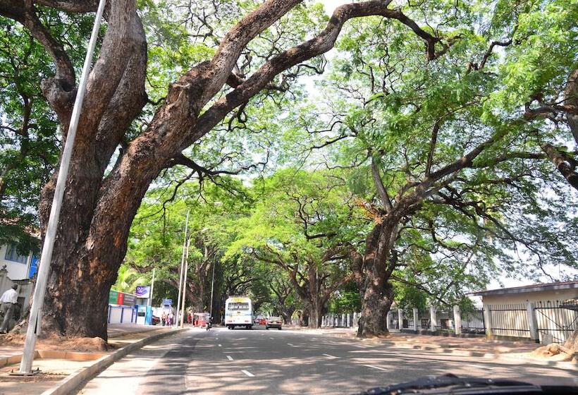 ベッドアンドブレックファースト Colombo Villa At Cambridge Place