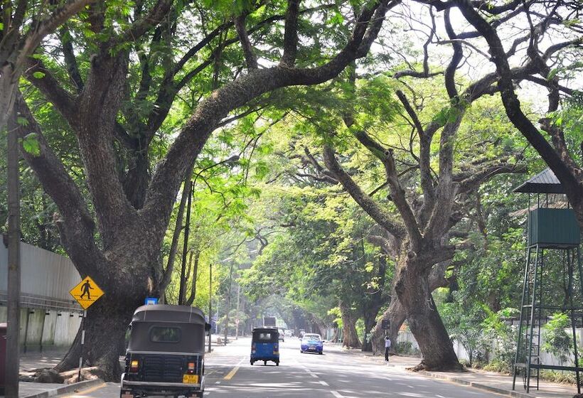 ベッドアンドブレックファースト Colombo Villa At Cambridge Place