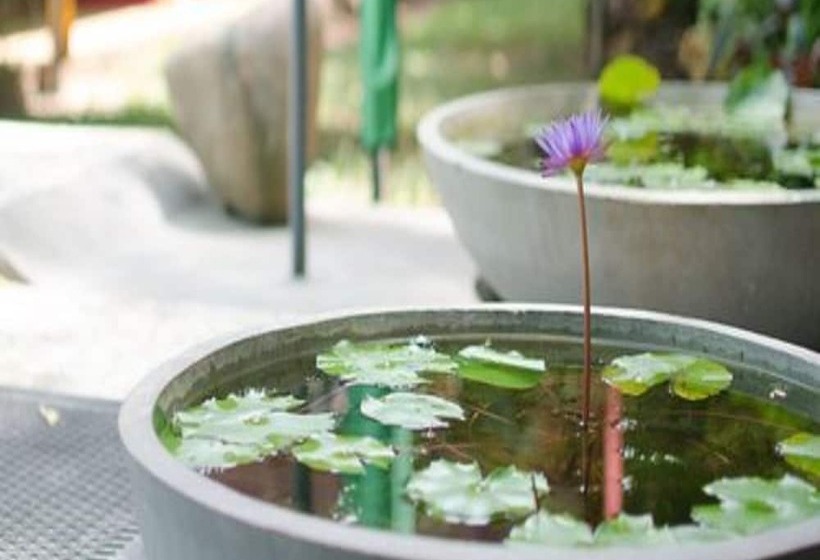 ベッドアンドブレックファースト Colombo Villa At Cambridge Place