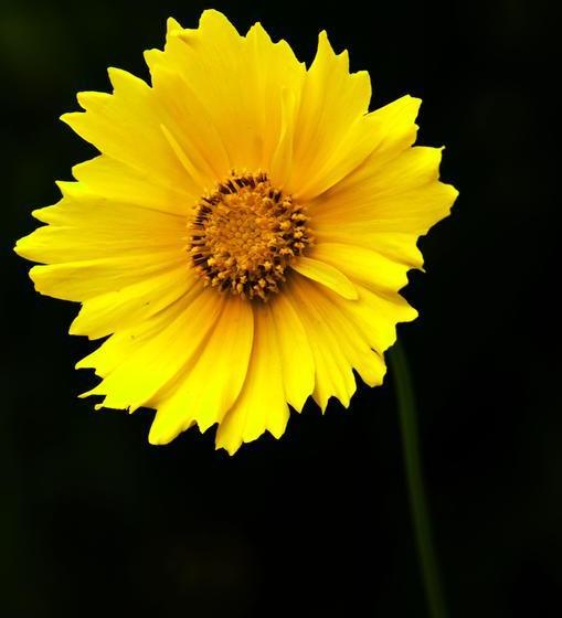 ベッドアンドブレックファースト Kk Heritage