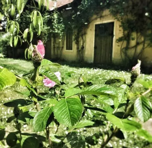 Aamiaismajoitus (B&B) Le Dimore De Il Borgo Del Balsamico