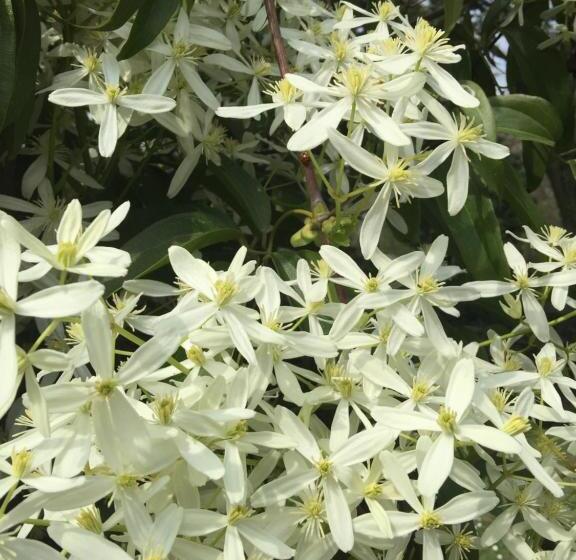 צימר Le Dimore De Il Borgo Del Balsamico