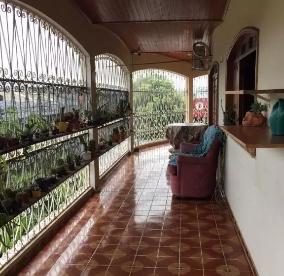 Hostel Roraima