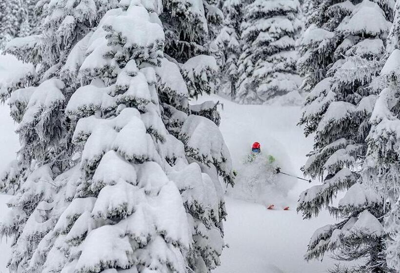 هتل Eleven Revelstoke Lodge